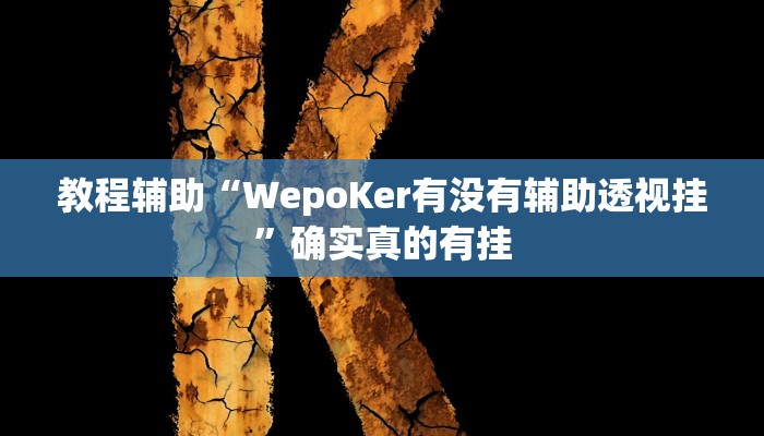 教程辅助“WepoKer有没有辅助透视挂”确实真的有挂