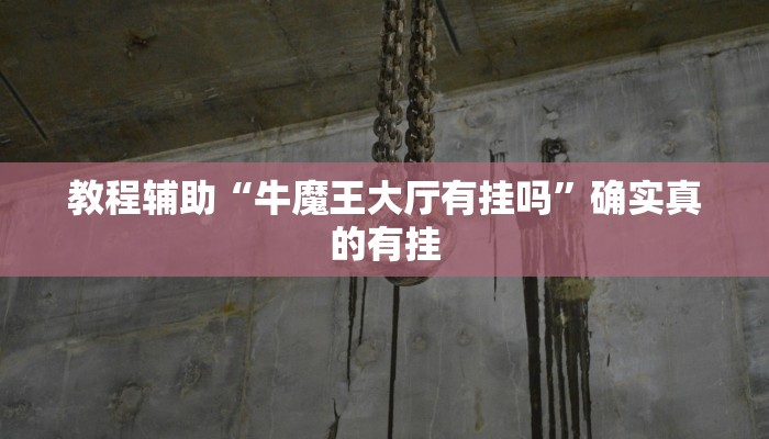 教程辅助“impoker透视挂破解版”确实真的有挂