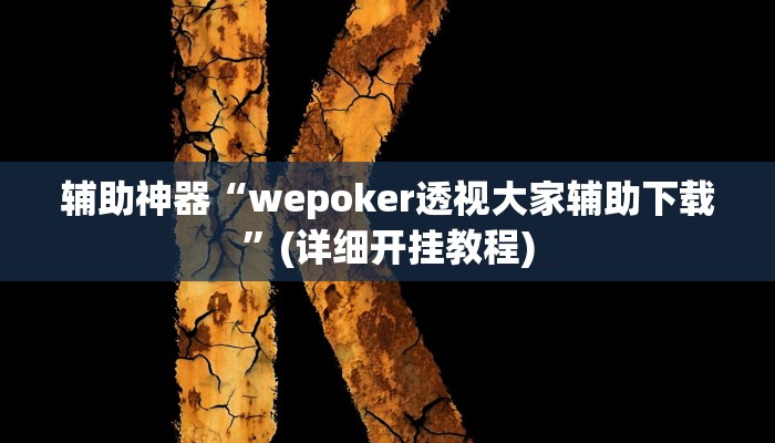 辅助神器“wepoker透视大家辅助下载”(详细开挂教程)