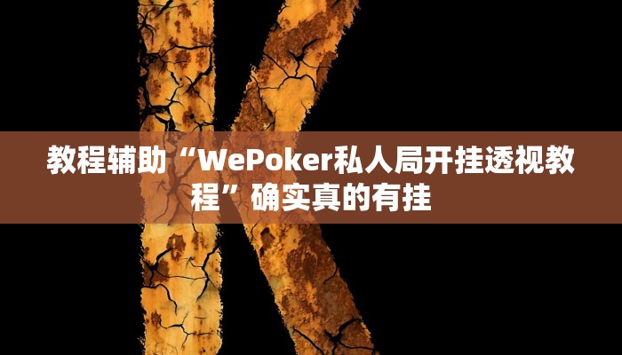 教程辅助“乐游休闲有没有挂”(原来确实是有挂)
