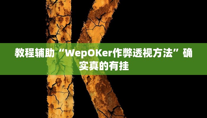 教程辅助“同乡游棋牌开挂神器”(原来确实是有挂)