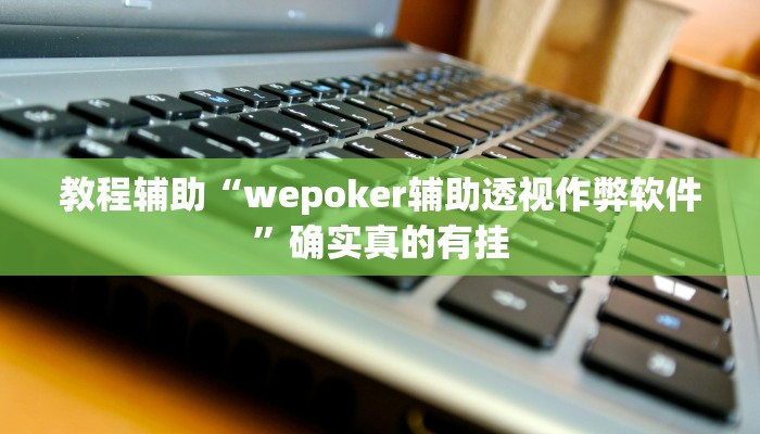 教程辅助“德扑之星开挂透视教程”确实真的有挂