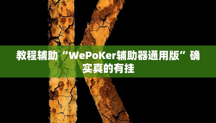 教程辅助“边锋跑得快有挂吗”(原来确实是有挂)