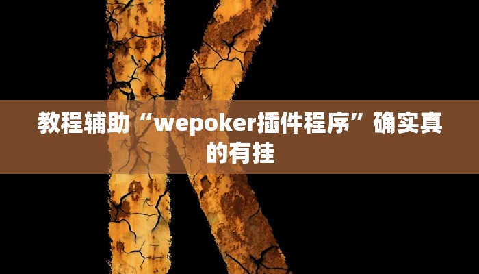 教程辅助“wepoker插件程序”确实真的有挂