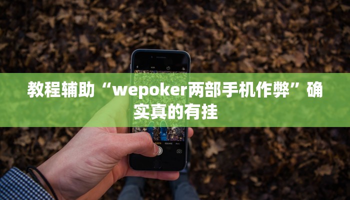 教程辅助“wepoker两部手机作弊”确实真的有挂