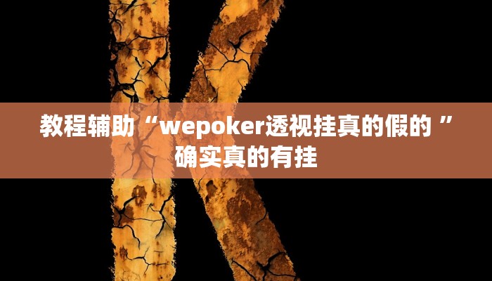 教程辅助“wepoker透视挂真的假的 ”确实真的有挂
