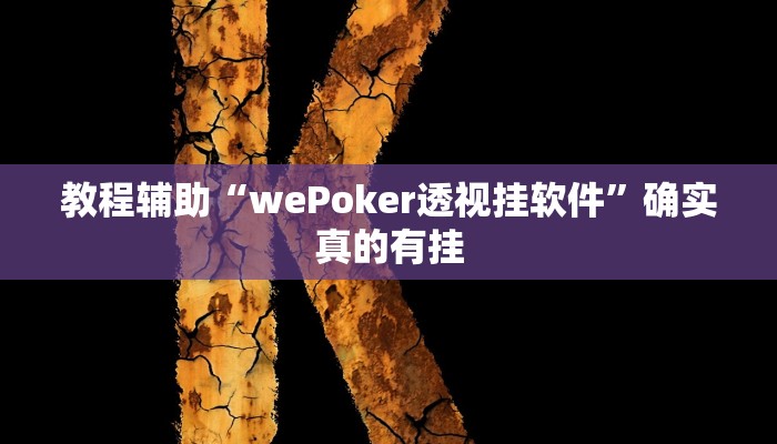 教程辅助“wePoker透视挂软件”确实真的有挂