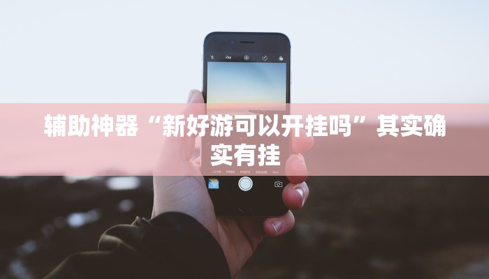 辅助神器“新好游可以开挂吗”其实确实有挂