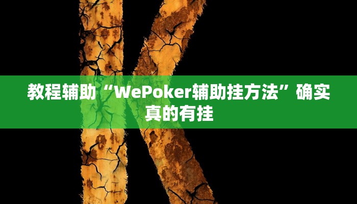 教程辅助“WePoker辅助挂方法”确实真的有挂