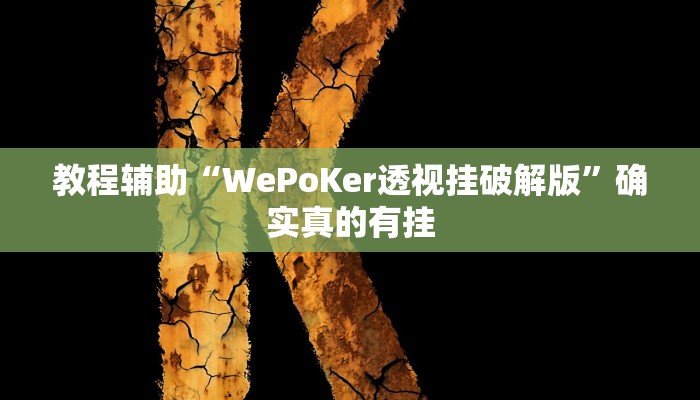 教程辅助“WePoKer透视挂破解版”确实真的有挂