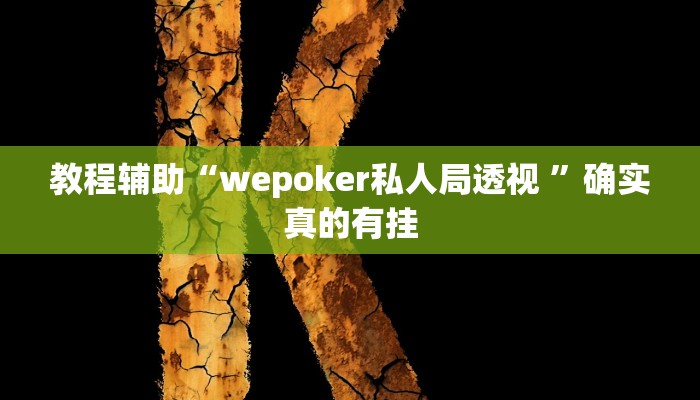 教程辅助“wepoker私人局透视 ”确实真的有挂