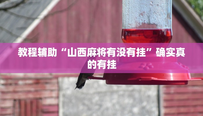 教程辅助“山西麻将有没有挂”确实真的有挂