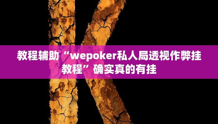 实测辅助”德州wepoker透视作弊”(详细开挂教程)