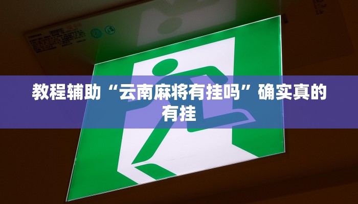 教程辅助“皮皮跑胡子开挂辅助神奇”(原来确实是有挂)