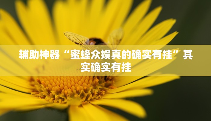 教程辅助“闲逸碰胡辅助软件下载”(原来确实是有挂)