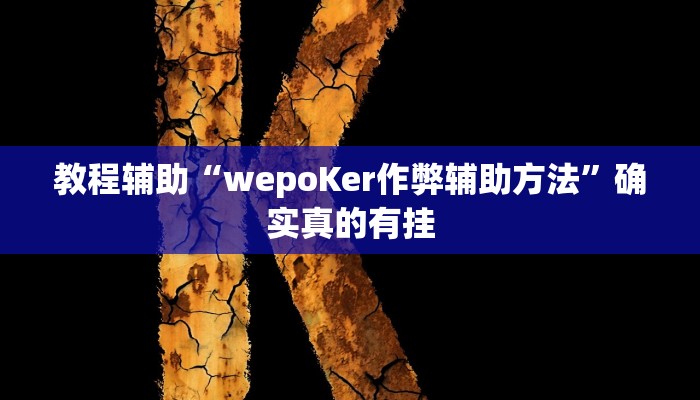 教程辅助“appoker作弊透视开挂方法”(原来确实是有挂)