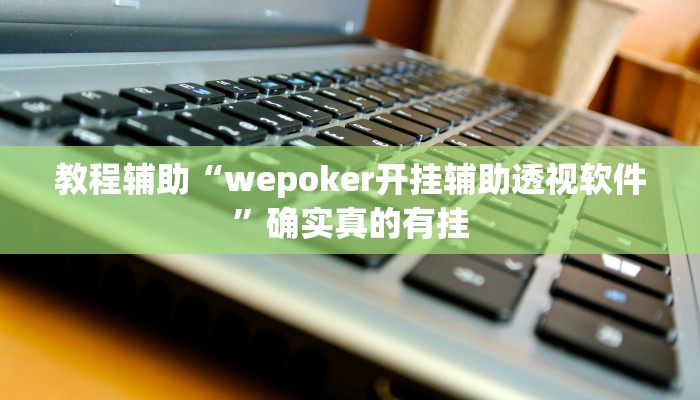 教程辅助“wepoker开挂辅助透视软件”确实真的有挂