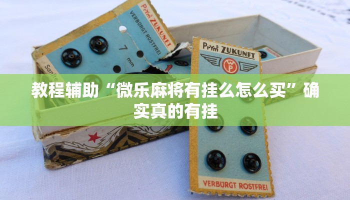 教程辅助“微乐麻将有挂么怎么买”确实真的有挂