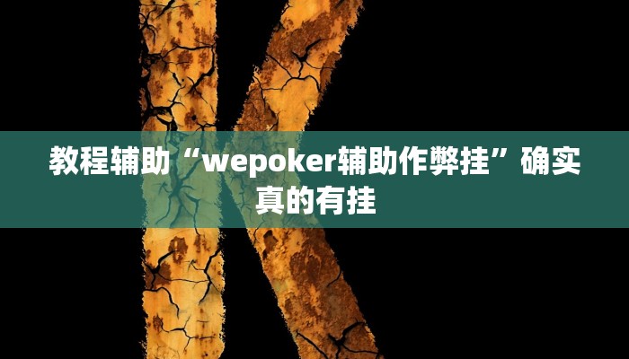 教程辅助“wepoker辅助作弊挂”确实真的有挂