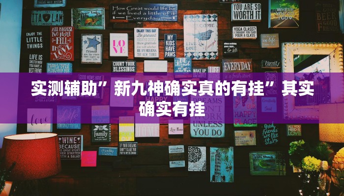 实测辅助”新九神确实真的有挂”其实确实有挂