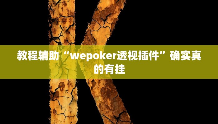 教程辅助“wepoker透视插件”确实真的有挂