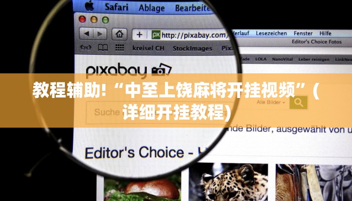 教程辅助!“中至上饶麻将开挂视频”(详细开挂教程)