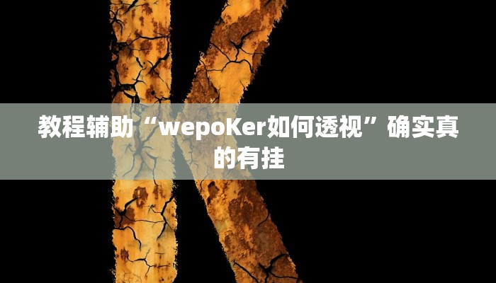 教程辅助“wepoKer如何透视”确实真的有挂
