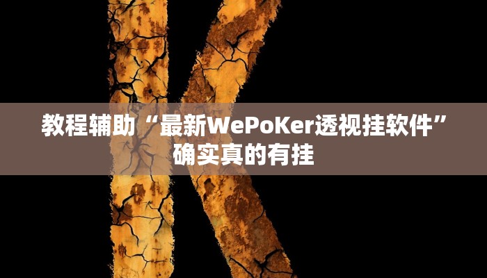教程辅助“最新WePoKer透视挂软件”确实真的有挂