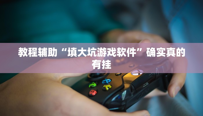 教程辅助“填大坑游戏软件”确实真的有挂