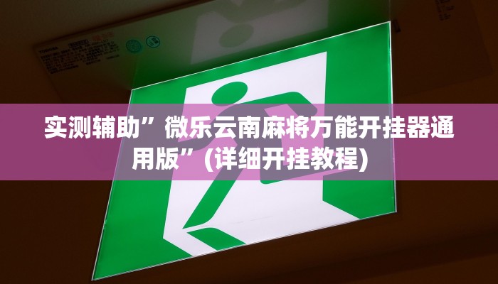 实测辅助”微乐云南麻将万能开挂器通用版”(详细开挂教程)