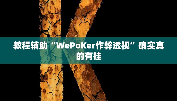 教程辅助“WePoKer作弊透视”确实真的有挂