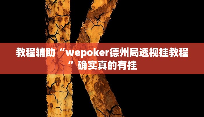 教程辅助“wepoker德州局透视挂教程”确实真的有挂