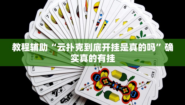 教程辅助“微乐跑得快万能开挂器通用版”(原来确实是有挂)