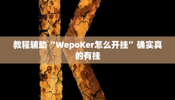 教程辅助“WepoKer怎么开挂”确实真的有挂