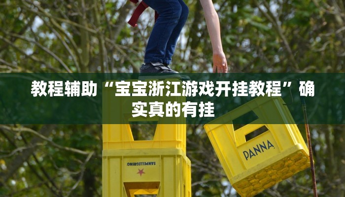 教程辅助“宝宝浙江游戏开挂教程”确实真的有挂
