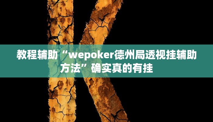 教程辅助“wepoker德州局透视挂辅助方法”确实真的有挂