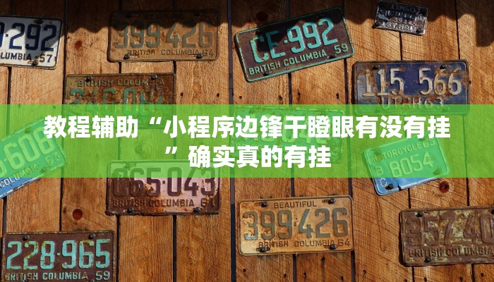 教程辅助“小程序边锋干瞪眼有没有挂”确实真的有挂