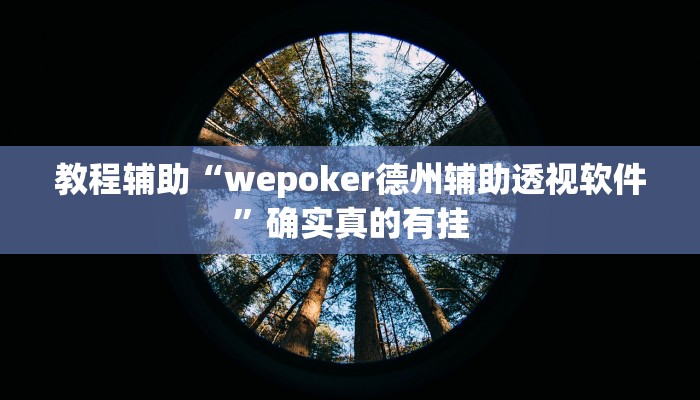 教程辅助“wepoker德州辅助透视软件”确实真的有挂