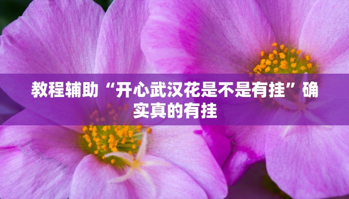 教程辅助“开心武汉花是不是有挂”确实真的有挂