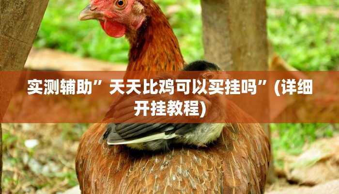 实测辅助”天天比鸡可以买挂吗”(详细开挂教程)