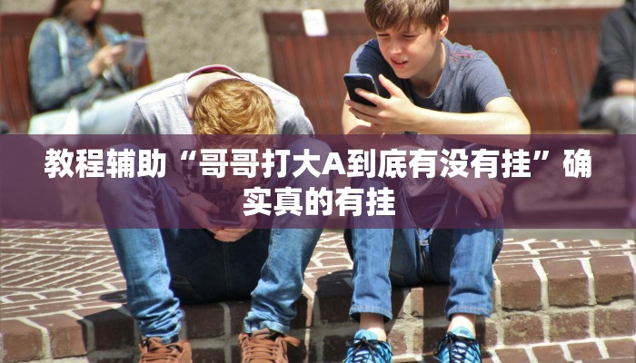 教程辅助“哥哥打大A到底有没有挂”确实真的有挂