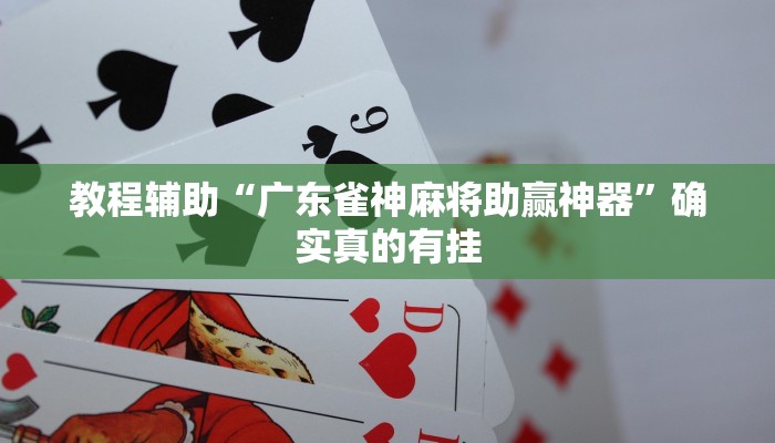 教程辅助“广东雀神麻将助赢神器”确实真的有挂