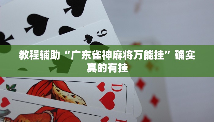 教程辅助“广东雀神麻将万能挂”确实真的有挂