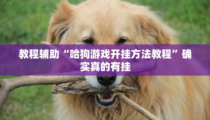 教程辅助“哈狗游戏开挂方法教程”确实真的有挂