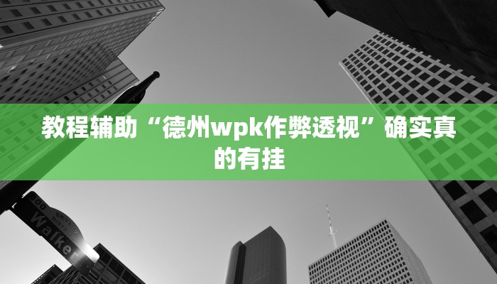 教程辅助“德州wpk作弊透视”确实真的有挂