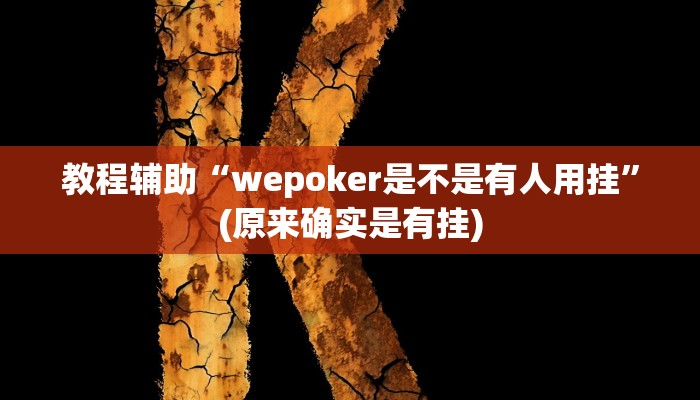 教程辅助“wepoker是不是有人用挂”(原来确实是有挂)