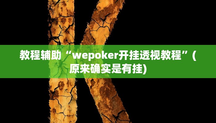 教程辅助“wepoker开挂透视教程”(原来确实是有挂)
