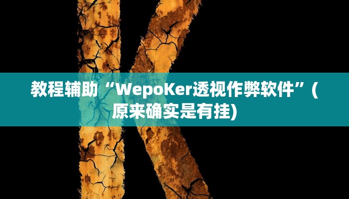 教程辅助“WepoKer透视作弊软件”(原来确实是有挂)