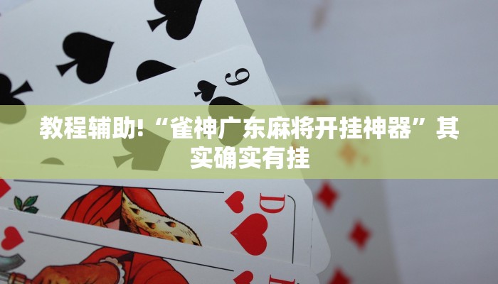 教程辅助!“雀神广东麻将开挂神器”其实确实有挂