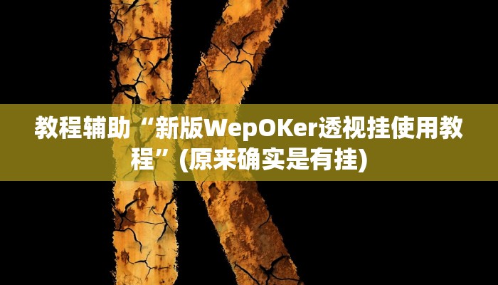 教程辅助“新版WepOKer透视挂使用教程”(原来确实是有挂)